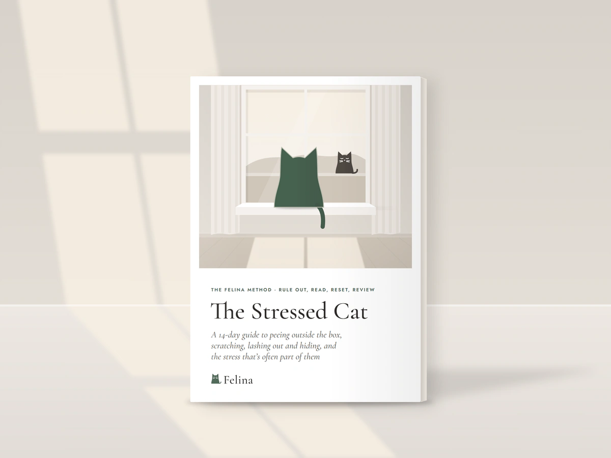 Illustration: The Stressed Cat as a printed booklet standing in window light, its cover showing the Felina cat on a windowsill above the title